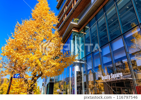 東京澀谷區原宿車站周圍的秋葉 116797546