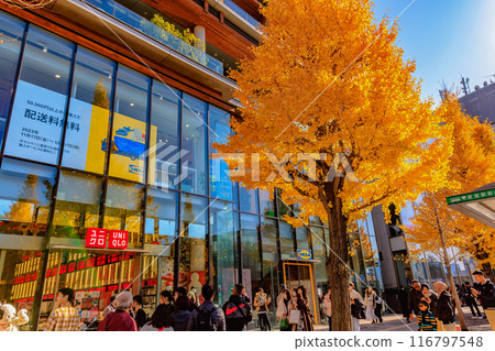東京澀谷區原宿車站周圍的秋葉 116797548