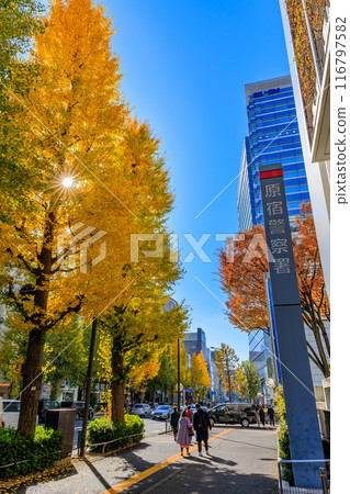 東京澀谷區原宿周圍的秋葉 116797582