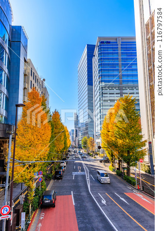 東京澀谷區原宿周圍的秋葉 116797584