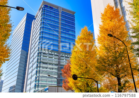 東京澀谷區原宿周圍的秋葉 116797588