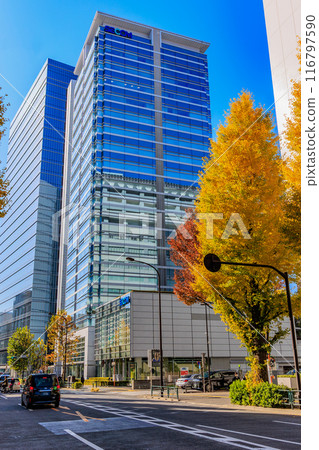 Tokyo, Shibuya Ward, Autumn leaves around Harajuku Tokyo, Shibuya Ward, Autumn leaves around Harajuku 116797590