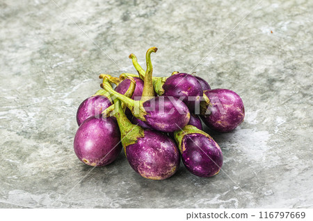 Small organic young purple round eggplant Small organic young purple round eggplant 116797669