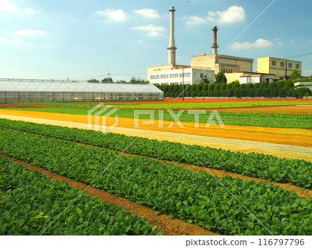 秋天的小松田和清潔中心風景 i 116797796