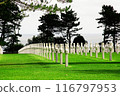 view of war cemetery in normandy 116797953
