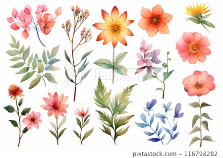 A set of flowers and plant elements on a white background. 116798282