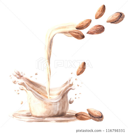 Flowing almond nut milk with milky splashes. Watercolor peeled and in shell nuts for yogurt, cream dairy. Plant based drink label. Vegetarian hand drawn healthy food composition on isolated background 116798331