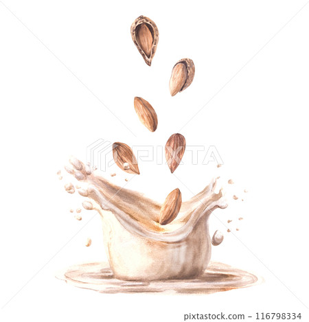 Almond milk drink with milky splash Watercolor peeled and in shell nuts into yogurt, cream. Plant based drink dairy label design. Vegetarian hand drawn healthy food composition on isolated background 116798334