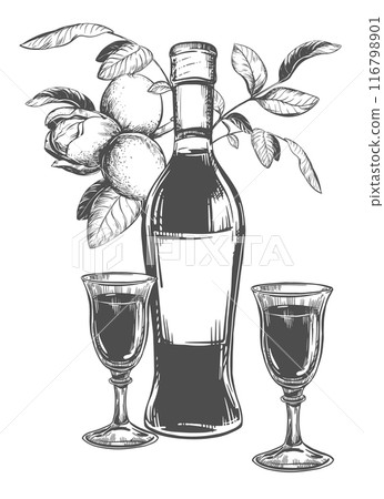 Nocino liqueur black and white linear sketch. Bottle and glasses and walnut branch on a white background. Vector ink drawing in engraving style. Alcoholic drinks. clipart for menus, packaging, labels. 116798901