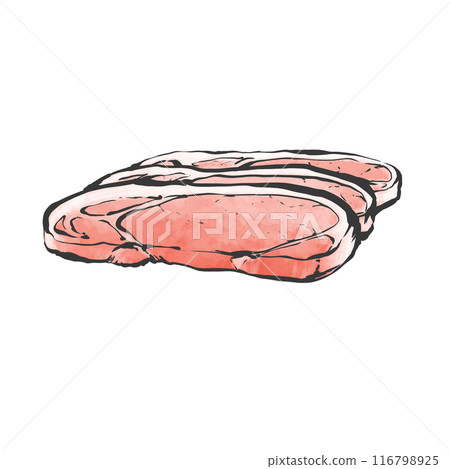 厚切豬腰手寫畫筆繪畫風格插畫 116798925