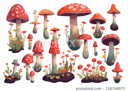 A set of fly agaric mushrooms on a white background. 116798975