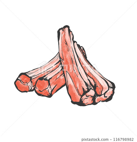 豬肉切排骨手寫畫筆繪畫風格插畫 豬肉切排骨手寫畫筆繪畫風格插畫 116798982