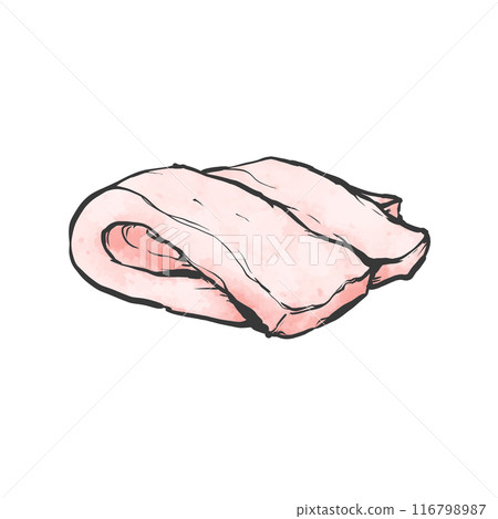 豬背肥手寫畫筆繪畫風格插畫 116798987