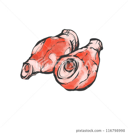 豬甜甜圈手寫畫筆繪畫風格插畫 116798998