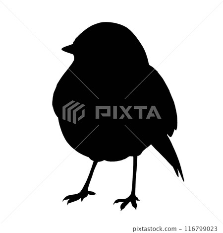 Robin silhouette illustration Robin silhouette illustration 116799023