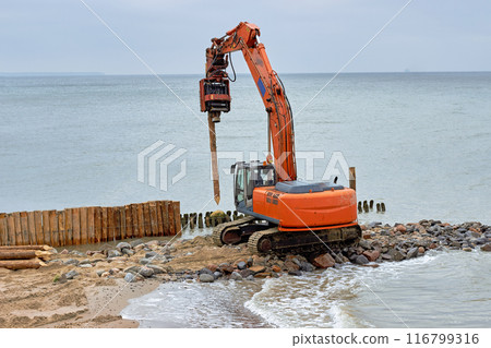 The machine drives wooden piles of groins to strengthen the sea coastline The machine drives wooden piles of groins to strengthen the sea coastline 116799316