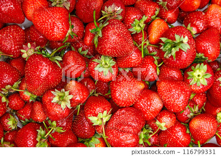Background for design from scattered red strawberries. View of the archive with copy space Background for design from scattered red strawberries. View of the archive with copy space 116799331