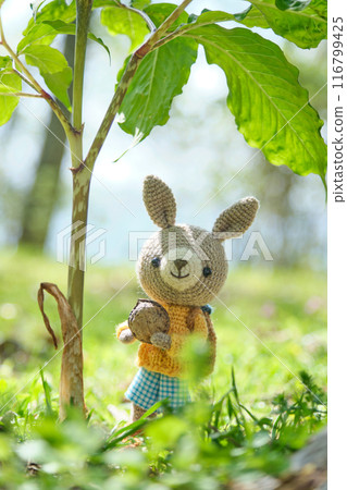 動物阿米古魯米旅行 116799425