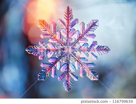 Colorful and beautiful snowflakes Colorful and beautiful snowflakes 116799639