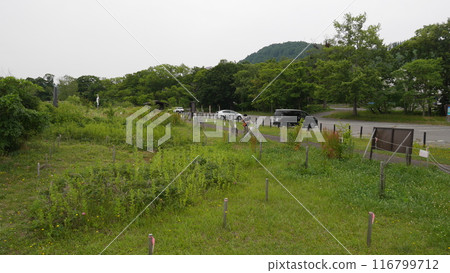 Toyako Toyako 116799712