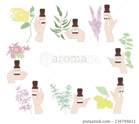 Hands holding essential oils: rosemary, ylang-ylang, lavender, peppermint, eucalyptus, clary sage, lemon. 116799811