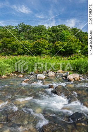 夏季多西河道之站河邊遊樂場 夏季多西河道之站河邊遊樂場 116799848