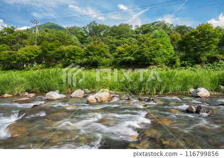 Summer Doshi River Roadside Station Doshi River Play Area 116799856