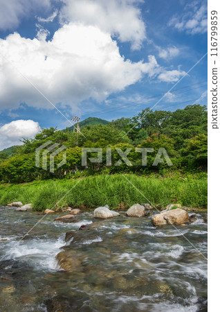 Summer Doshi River Roadside Station Doshi River Play Area Summer Doshi River Roadside Station Doshi River Play Area 116799859
