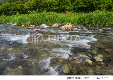夏季多西河道之站河邊遊樂場 116799860