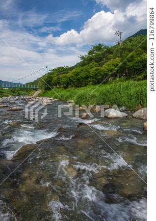 夏季多西河道之站河邊遊樂場 116799864