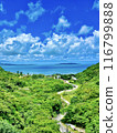 Yanbaru forest and the blue sea in the distance① 116799888