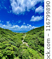 Yanbaru forest and the blue sea in the distance② 116799890