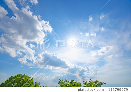 夏天的雲、樹木和陽光 夏天的雲、樹木和陽光 116799979