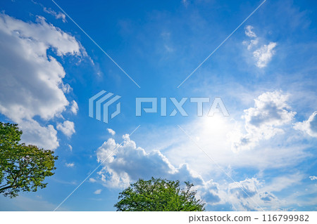 夏天的雲、樹木和陽光 116799982