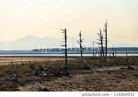 Notsuke Peninsula 116800032