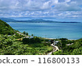 Yanbaru forest and blue sea 116800133
