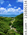 Beautiful forest and blue sea visible from afar① 116800134
