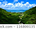 Beautiful forest and blue sea visible from afar② 116800135