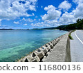National highway and blue sea① 116800136