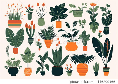 A set of different indoor plants. Flower pots in pots. A set of different indoor plants. Flower pots in pots. 116800366