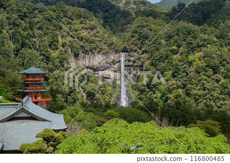 Nachisan Seiganto-ji Temple - Three-story Pagoda - Nachi Falls Nachisan Seiganto-ji Temple - Three-story Pagoda - Nachi Falls 116800485
