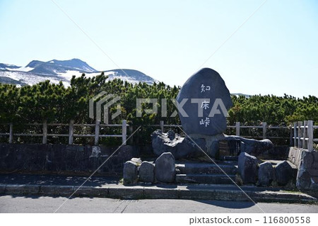 知床通行證 116800558