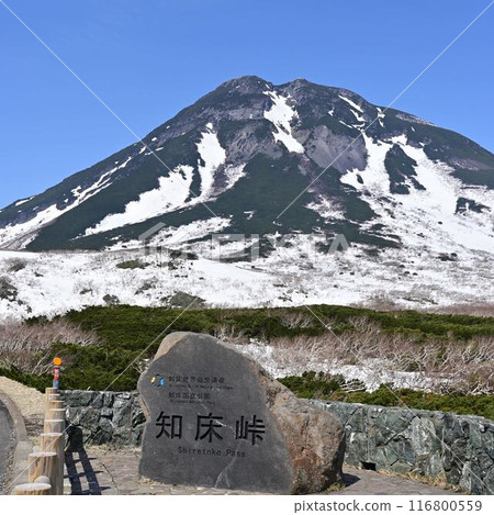 知床通行證 116800559