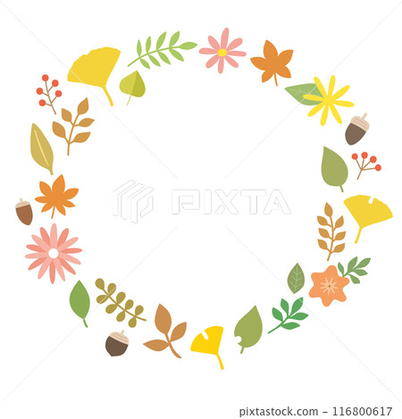 Autumn plant illustration frame 116800617