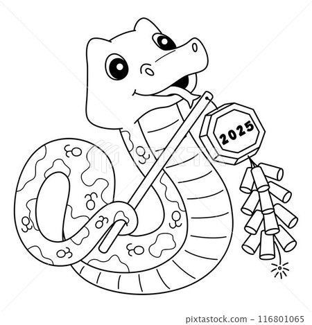 Year of the Snake Holding a Fireworks Isolated  116801065