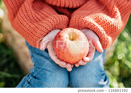close-up image of a child wearing a cozy orange sweater and jeans, holding fresh red apple in hands. The scene captures the essence of autumn and the simplicity of enjoying a fresh fruit. 116801392