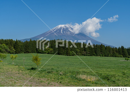 道之驛 - 朝霧高原 - 富士山展望台 116801413