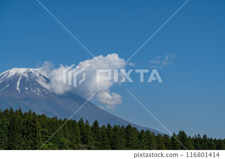 道之驛 - 朝霧高原 - 富士山展望台 道之驛 - 朝霧高原 - 富士山展望台 116801414