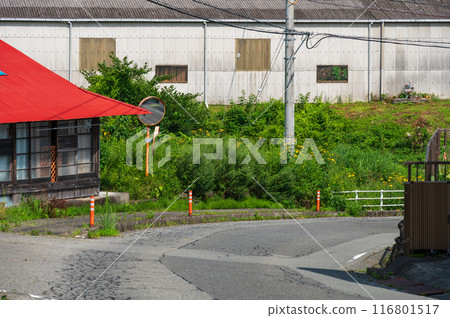 Country road, summer countryside scenery, nostalgia Country road, summer countryside scenery, nostalgia 116801517