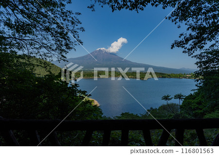 狸湖 - 狸觀景台 狸湖 - 狸觀景台 116801563